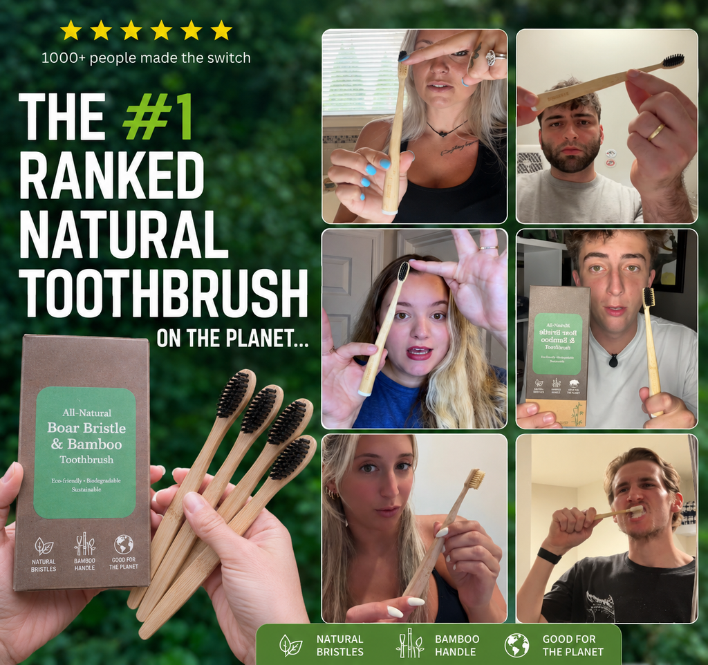 Bamboo Charcoal Toothbrush